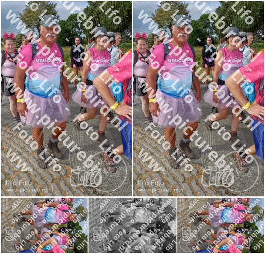 Evenement foto: Nijmeegse Vierdaagse 754