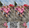 Evenement foto: Nijmeegse Vierdaagse 754