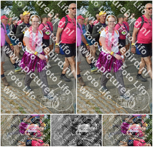 Evenement foto: Nijmeegse Vierdaagse 754