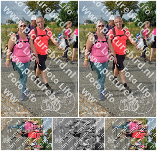 Evenement foto: Nijmeegse Vierdaagse 754