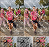 Evenement foto: Nijmeegse Vierdaagse 754