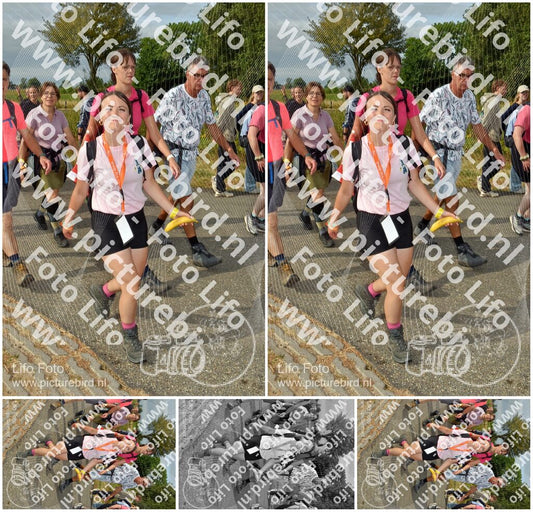 Evenement foto: Nijmeegse Vierdaagse 754