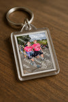 Evenement foto: Nijmeegse Vierdaagse 754