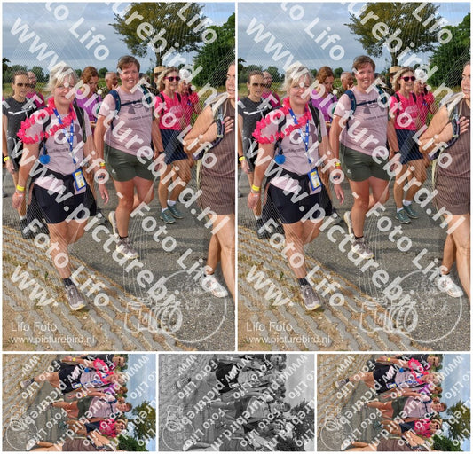 Evenement foto: Nijmeegse Vierdaagse 754