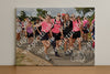 Evenement foto: Nijmeegse Vierdaagse 754