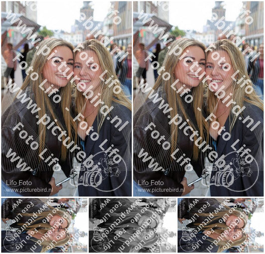Evenement foto: Nijmeegse Vierdaagse 434