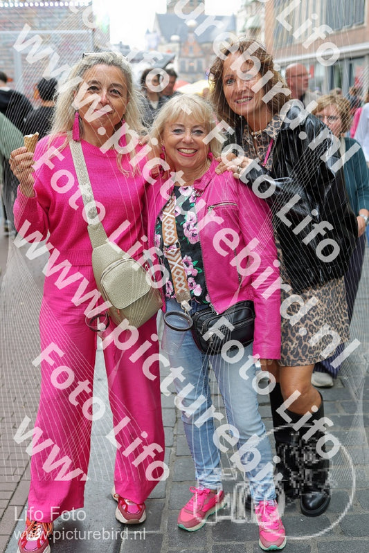 Evenement foto: Nijmeegse Vierdaagse 434