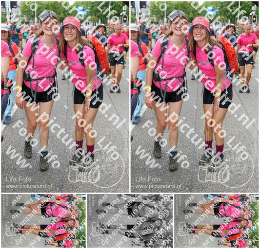 Evenement foto: Nijmeegse Vierdaagse 379