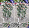 Evenement foto: Nijmeegse Vierdaagse 379