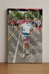 Evenement foto: Nijmeegse Vierdaagse 379