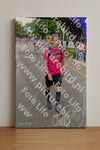 Evenement foto: Nijmeegse Vierdaagse 379