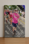 Evenement foto: Nijmeegse Vierdaagse 379