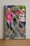 Evenement foto: Nijmeegse Vierdaagse 379