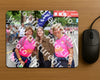 Evenement foto: Nijmeegse Vierdaagse 378
