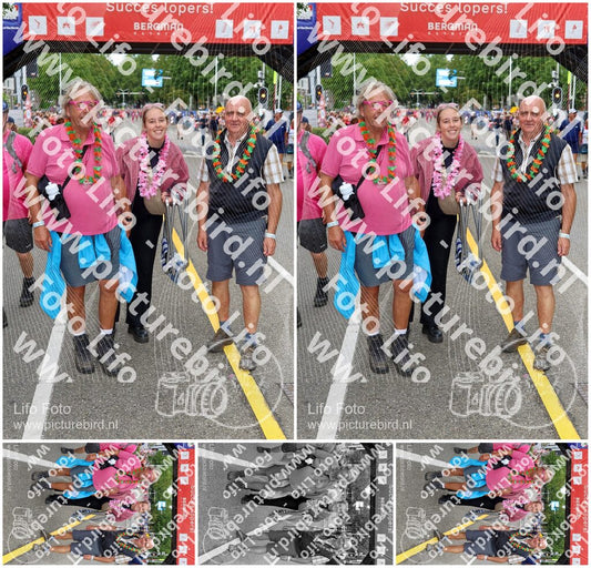Evenement foto: Nijmeegse Vierdaagse 378