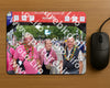 Evenement foto: Nijmeegse Vierdaagse 378