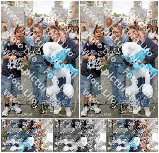 Evenement foto: Nijmeegse Vierdaagse 369