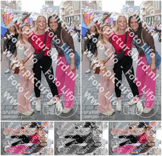 Evenement foto: Nijmeegse Vierdaagse 369