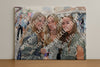 Evenement foto: Nijmeegse Vierdaagse 369