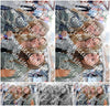 Evenement foto: Nijmeegse Vierdaagse 369