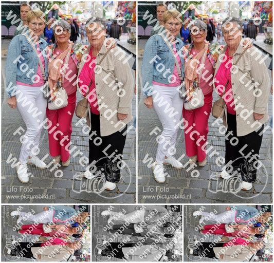 Evenement foto: Nijmeegse Vierdaagse 368
