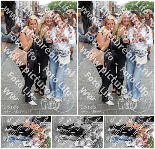 Evenement foto: Nijmeegse Vierdaagse 367