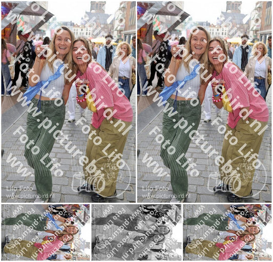 Evenement foto: Nijmeegse Vierdaagse 367