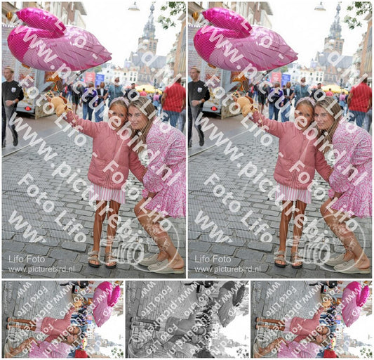 Evenement foto: Nijmeegse Vierdaagse 367
