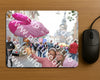 Evenement foto: Nijmeegse Vierdaagse 367