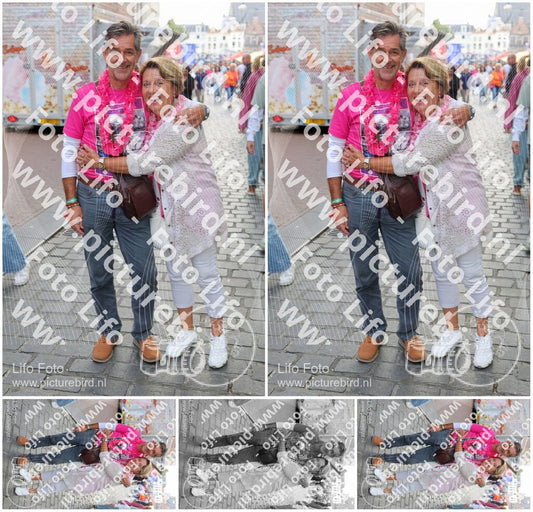 Evenement foto: Nijmeegse Vierdaagse 367