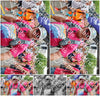 Evenement foto: Nijmeegse Vierdaagse 366