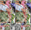 Evenement foto: Nijmeegse Vierdaagse 366