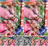 Evenement foto: Nijmeegse Vierdaagse 366