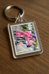 Evenement foto: Nijmeegse Vierdaagse 366