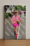 Evenement foto: Nijmeegse Vierdaagse 366