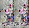 Evenement foto: Nijmeegse Vierdaagse 366