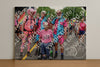 Evenement foto: Nijmeegse Vierdaagse 365