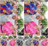 Evenement foto: Nijmeegse Vierdaagse 365