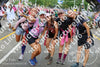 Evenement foto: Nijmeegse Vierdaagse 365