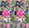 Evenement foto: Nijmeegse Vierdaagse 365