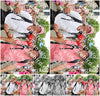 Evenement foto: Nijmeegse Vierdaagse 365