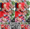 Evenement foto: Nijmeegse Vierdaagse 365