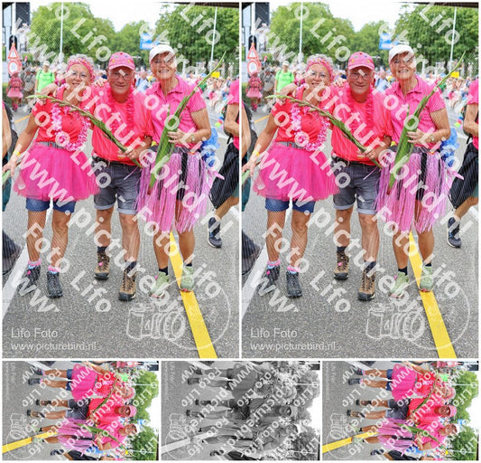 Evenement foto: Nijmeegse Vierdaagse 364