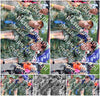Evenement foto: Nijmeegse Vierdaagse 364