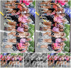 Evenement foto: Nijmeegse Vierdaagse 364