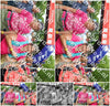 Evenement foto: Nijmeegse Vierdaagse 364