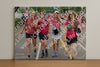 Evenement foto: Nijmeegse Vierdaagse 364