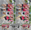 Evenement foto: Nijmeegse Vierdaagse 364