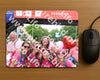 Evenement foto: Nijmeegse Vierdaagse 363