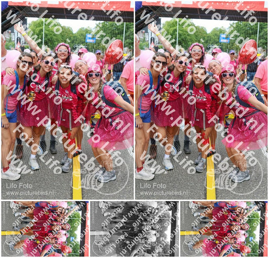 Evenement foto: Nijmeegse Vierdaagse 363